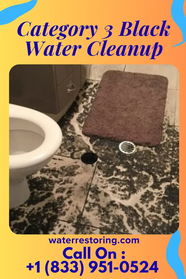 Category 3 Black Water Cleanup in Bethel, OH