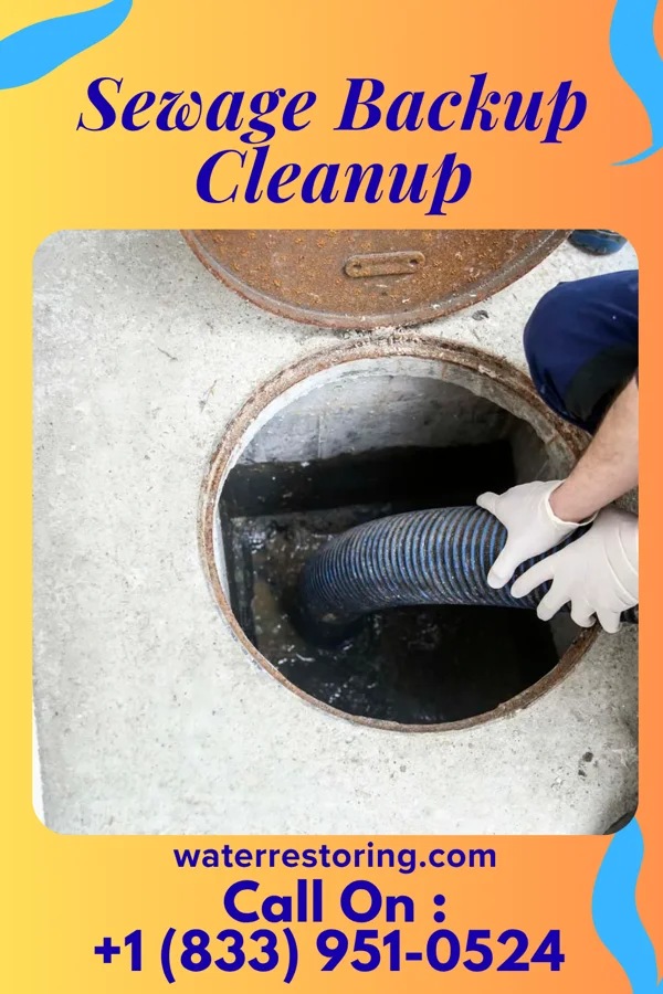 Sewage Backup Cleanup in Bethel, OH