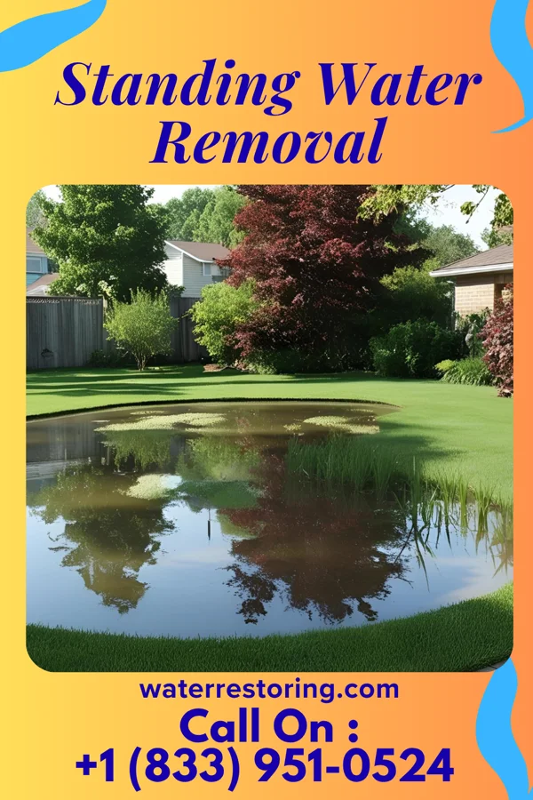 Standing Water Removal in Bethel, OH